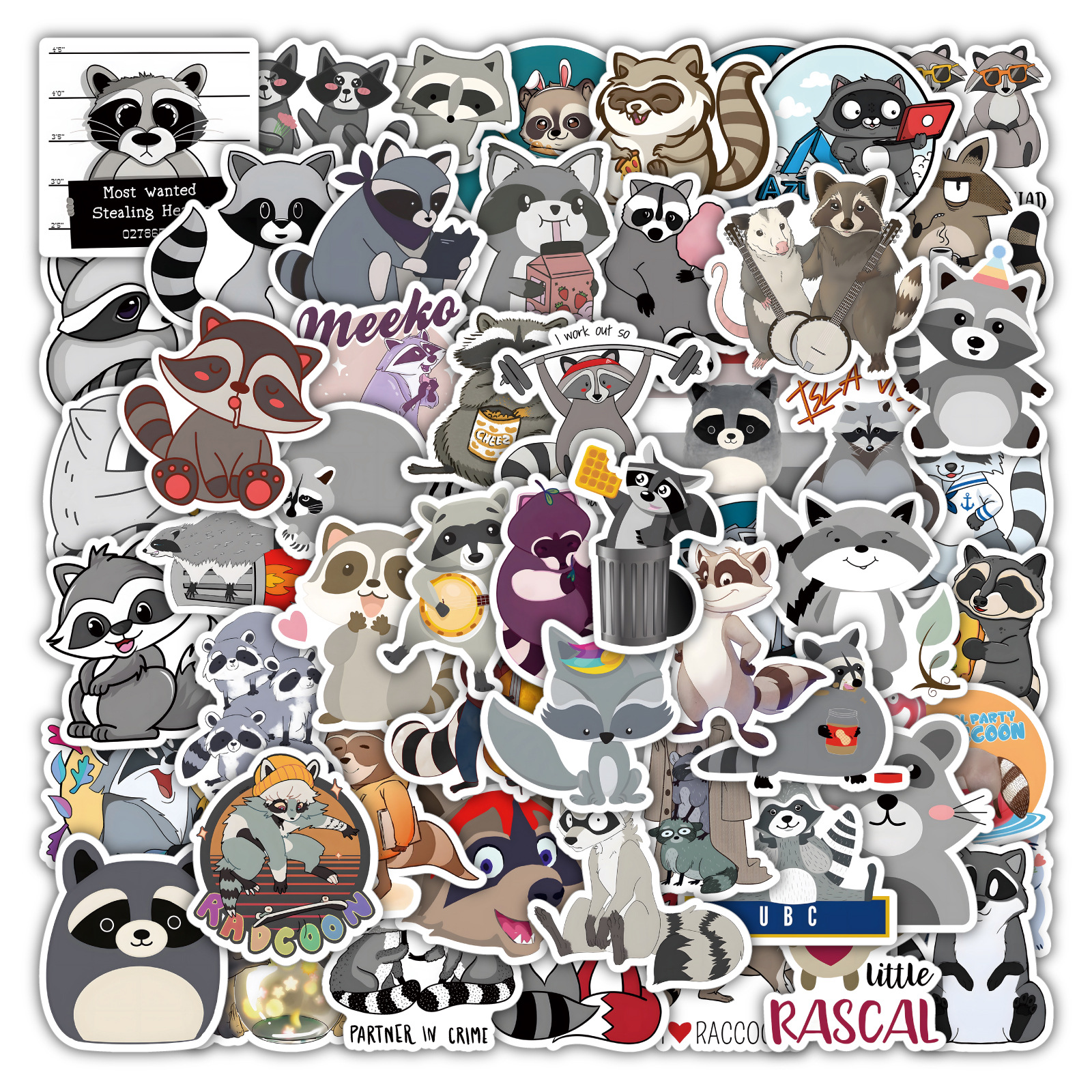 100 pcs Raccoon Sticker Laptop Skateboard doodle Waterproof Sticker